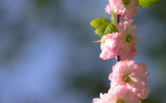 青春很淡文案句子集合100句