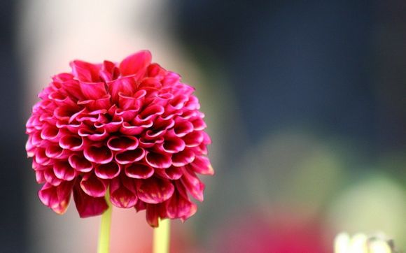 染发句子温柔文案集合100句